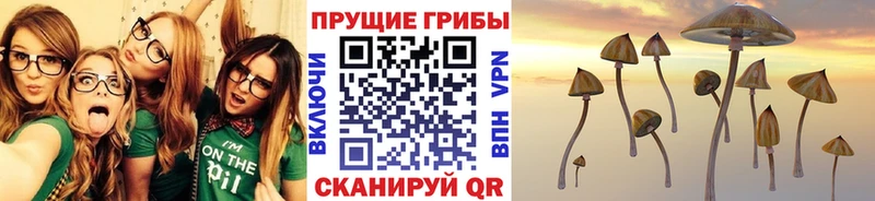 Галлюциногенные грибы Psilocybine cubensis  наркота  Судак 